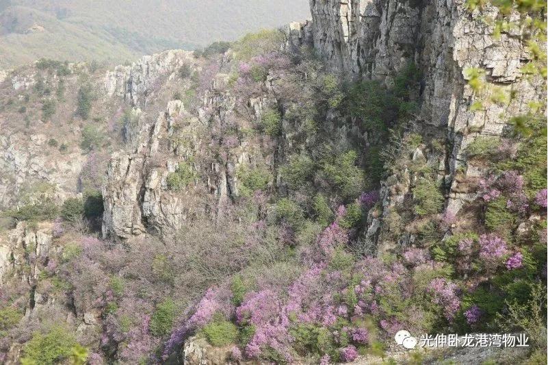 一飞冲天300倍游戏(中国游)·官方网站