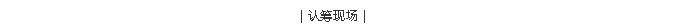 一飞冲天300倍游戏(中国游)·官方网站